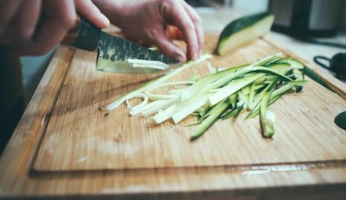 Different Types of Zucchini