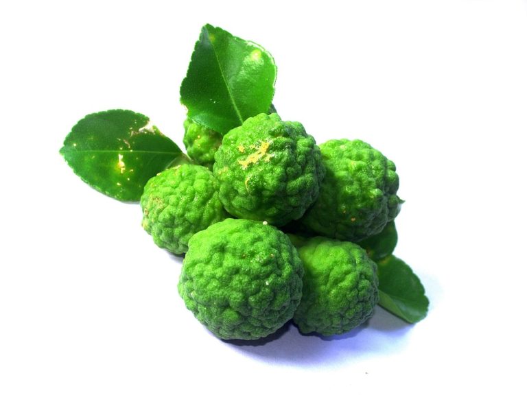 Substitutes For Kaffir Lime Leaves 
