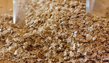 Substitutes For Oat Flour 