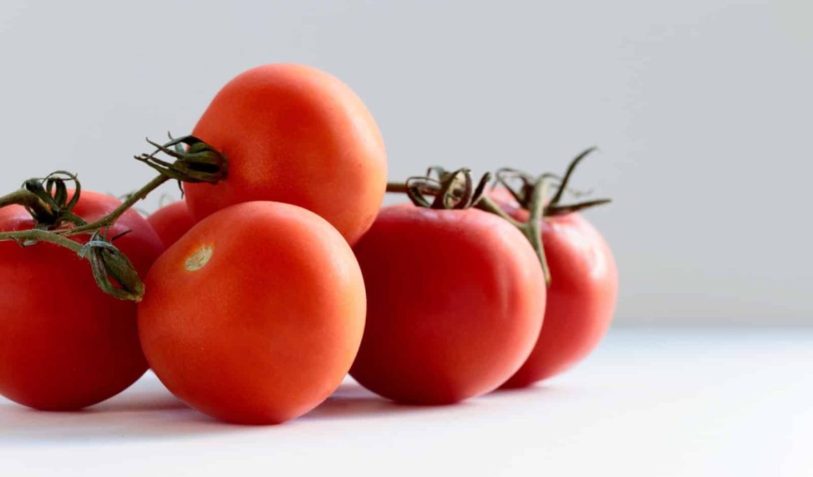 Substitutes For Tomato Allergy