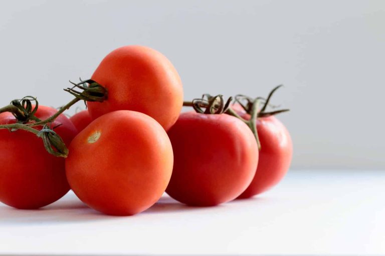 Substitutes For Tomato Allergy