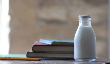 substitutes for whole milk