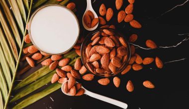 Calcium Sources of Food