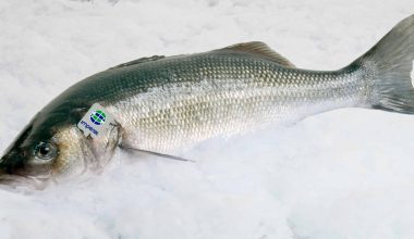 Side Dishes to Serve With Sea Bass