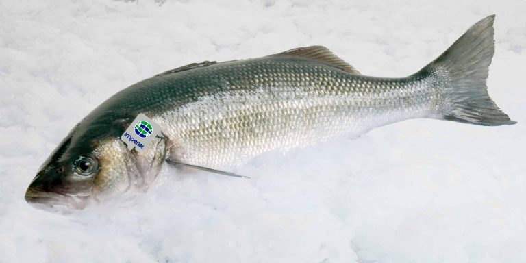 Side Dishes to Serve With Sea Bass