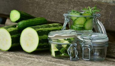 Best Substitutes for Zucchini