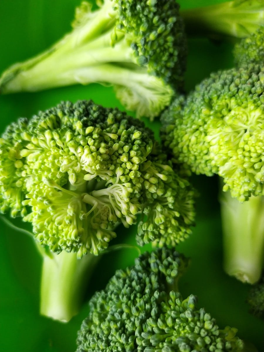 Broccoli - most popular vegetables