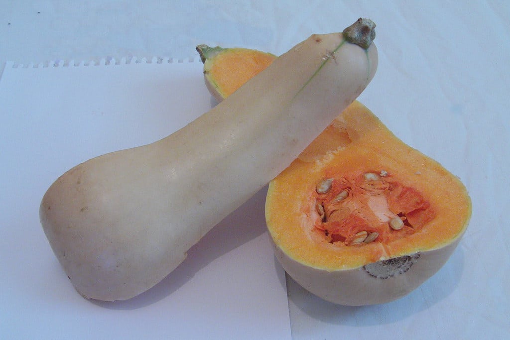 Butternut Squash