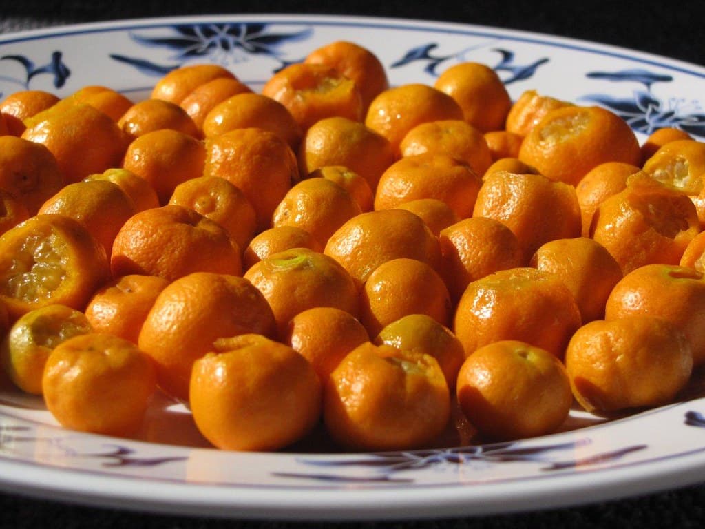 Calamondin