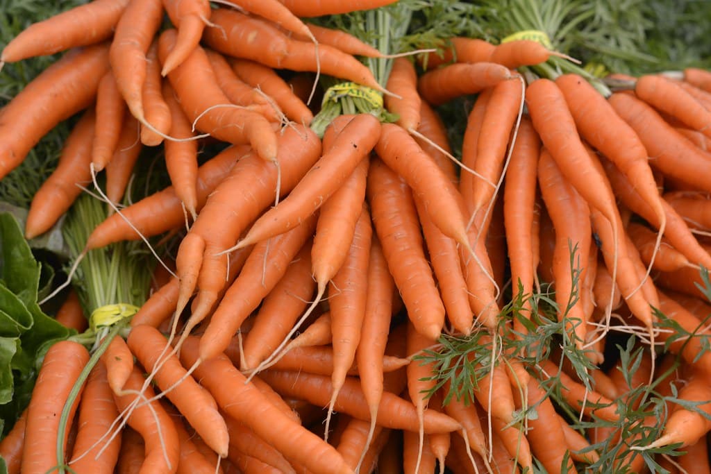 Carrots