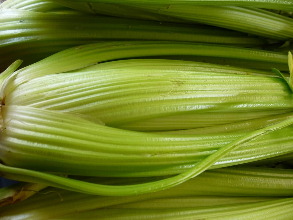 Celery