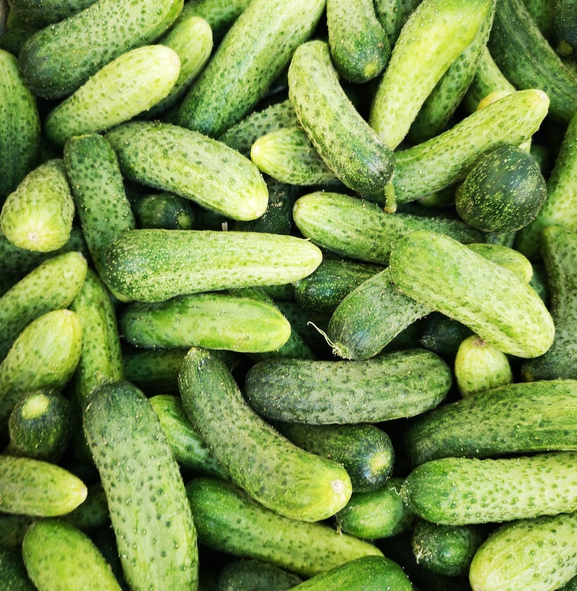 Cucumbers And Gherkins