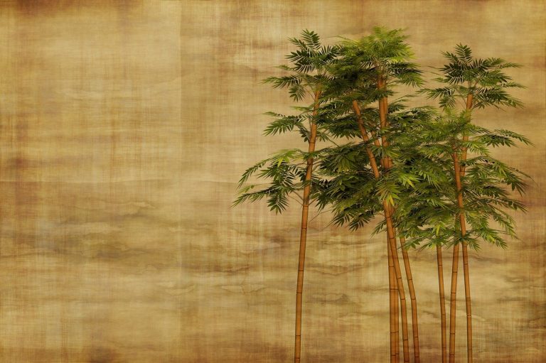 Different Types of Bamboo House Plants