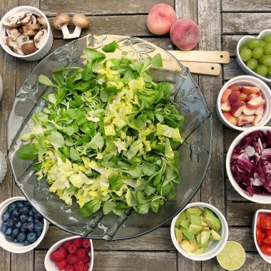 Different Types of Food Bowls