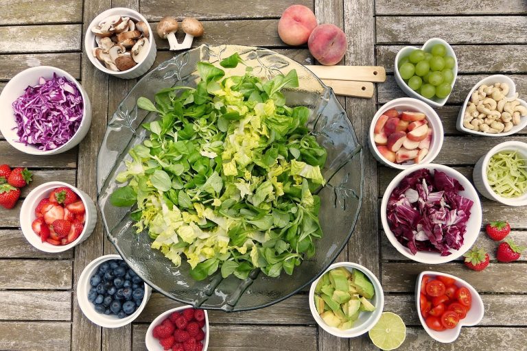 Different Types of Food Bowls
