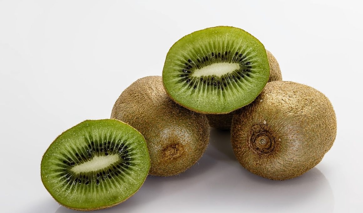 Different Types of Kiwi Fruits