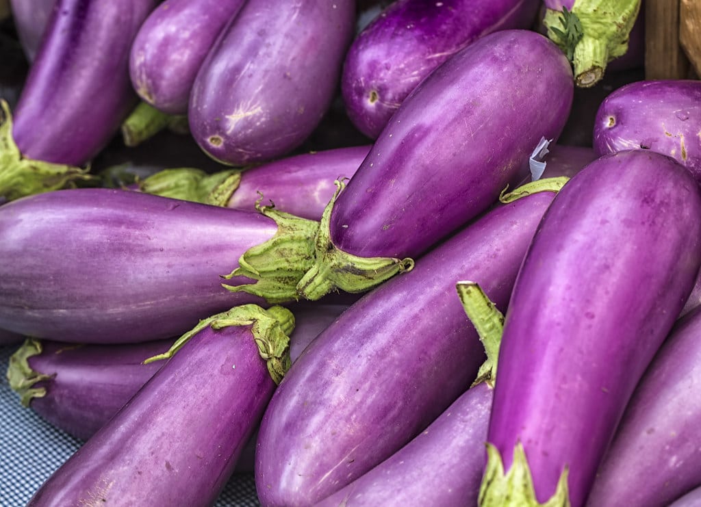 Eggplant