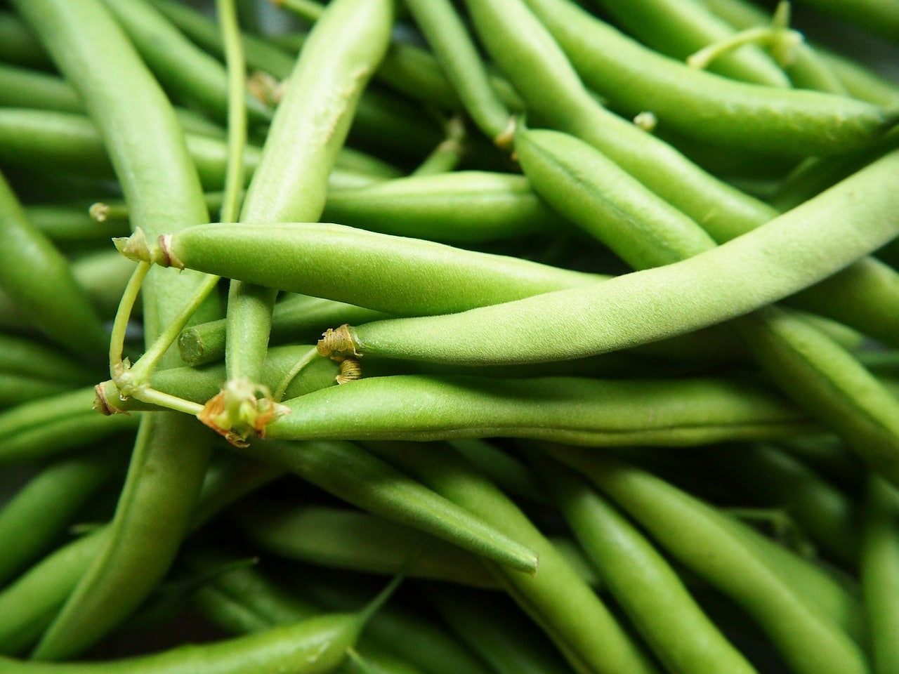 Green Beans