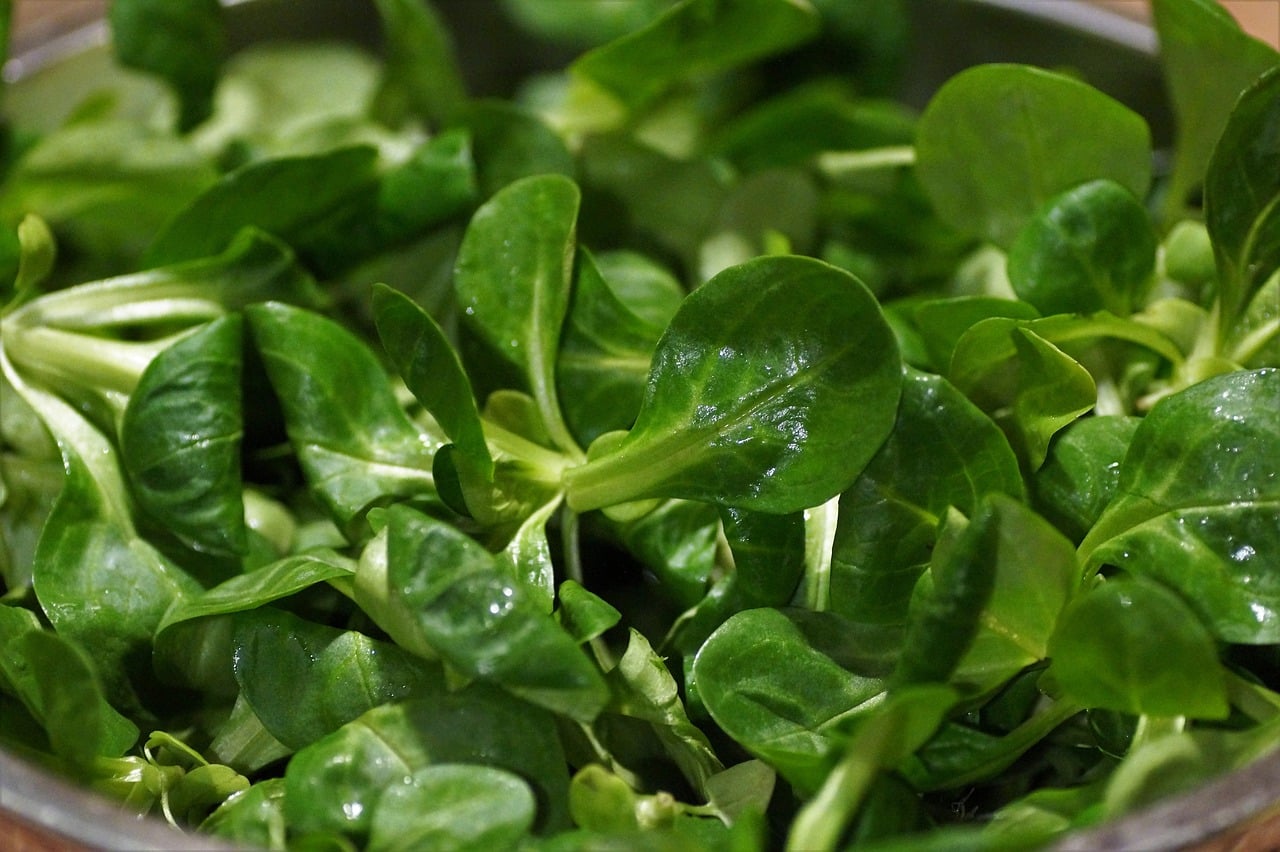 Lamb's Lettuce