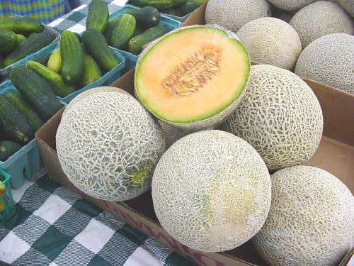 Melon