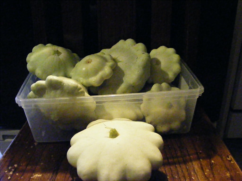 Patty Pan