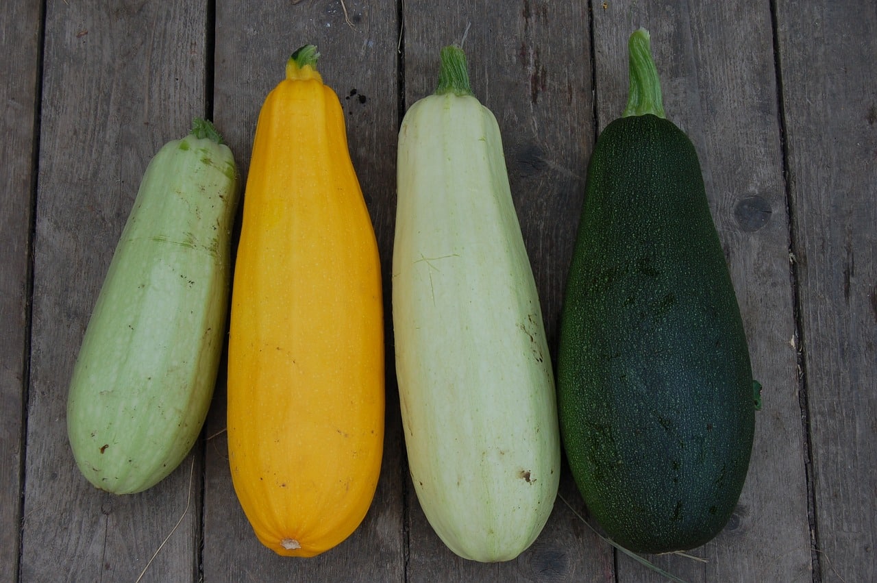 Summer Squash and Zucchini