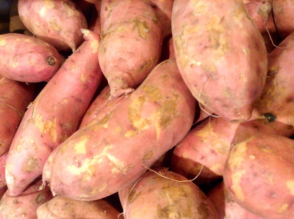 Sweet Potato