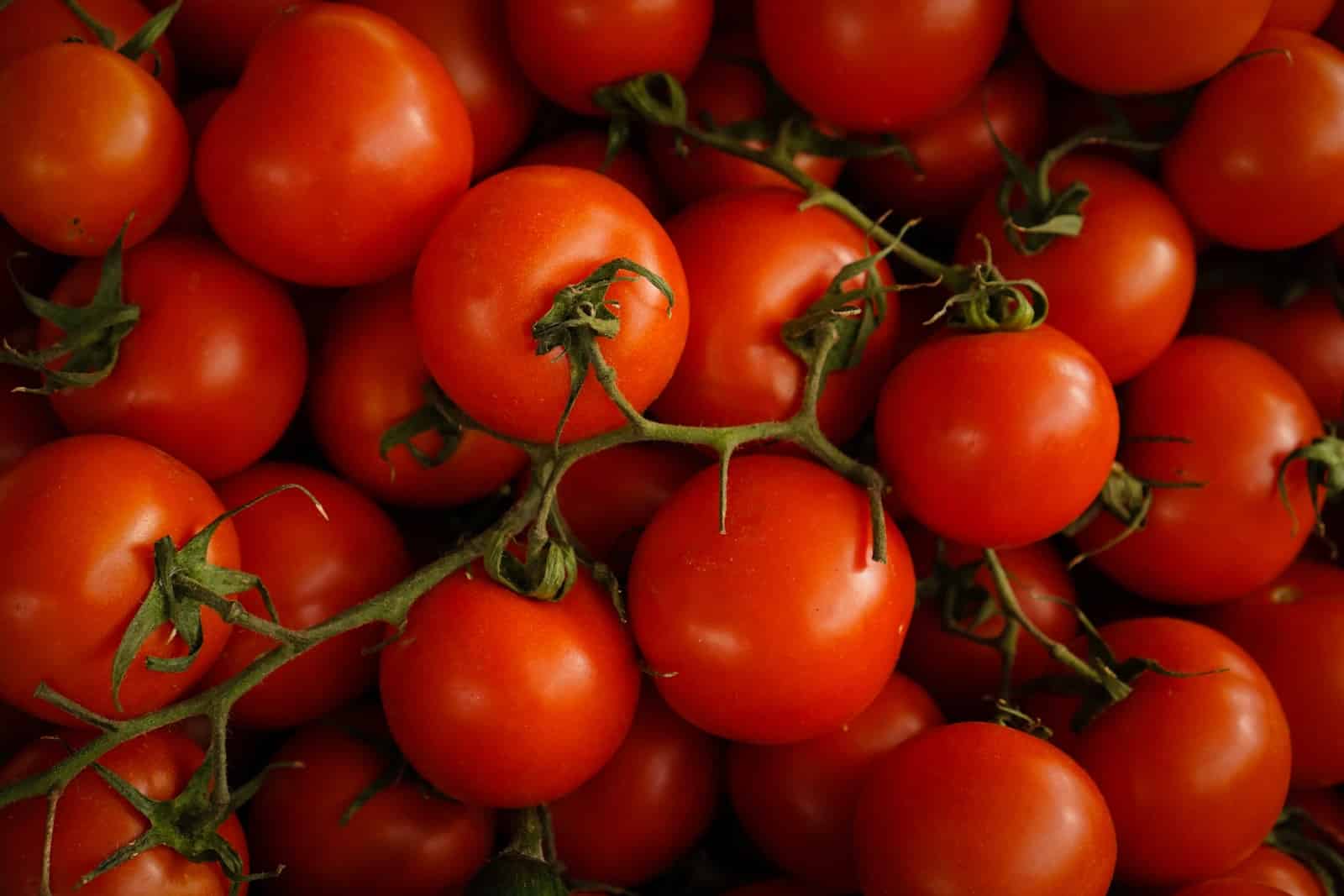 Tomatoes