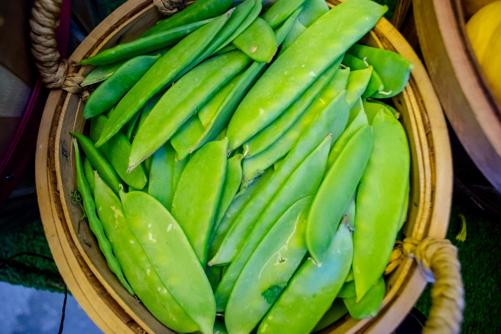 Snow Peas