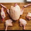 Types of Duck Cuts