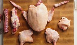 Types of Duck Cuts