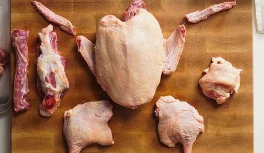 Types of Duck Cuts