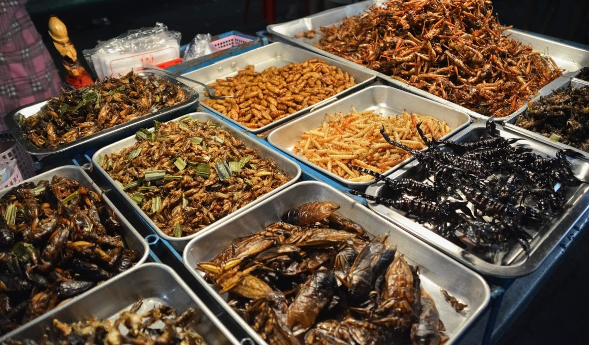 Types of Insects That People Eat