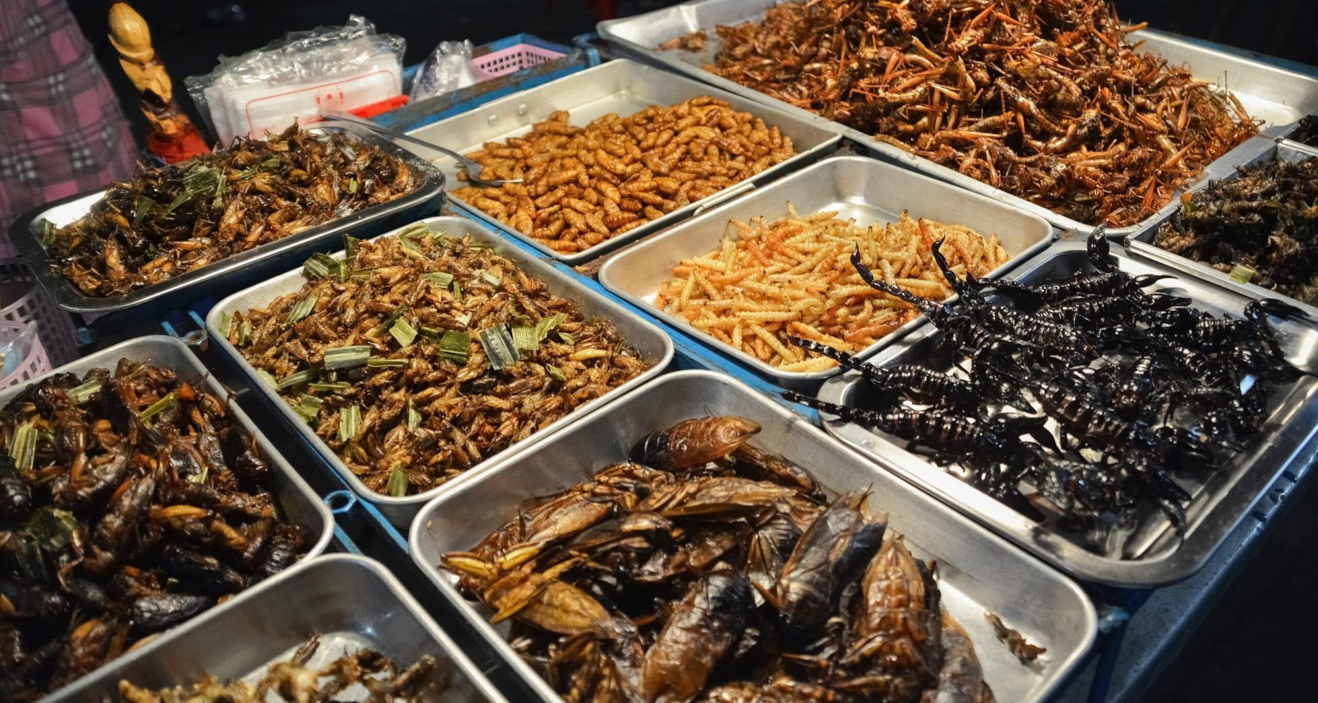 Types of Insects That People Eat