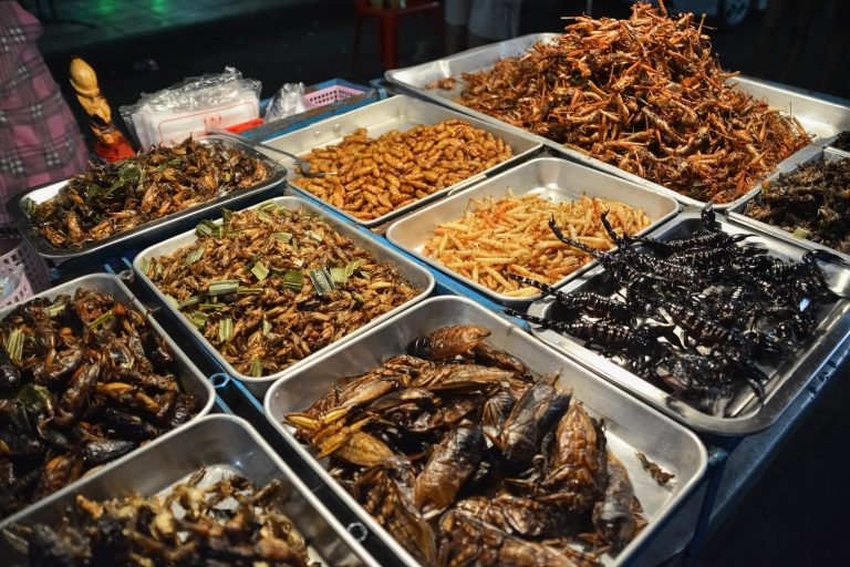 Types of Insects That People Eat