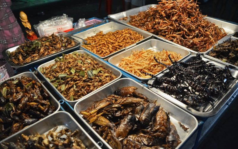 Types of Insects That People Eat