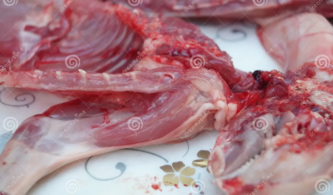 Types of Rabbit Meat Cuts