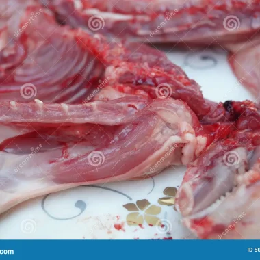 Types of Rabbit Meat Cuts