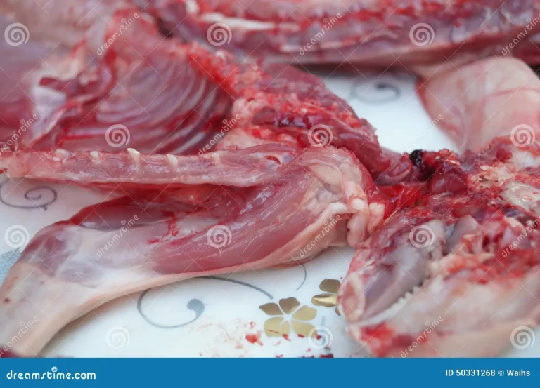 Types of Rabbit Meat Cuts