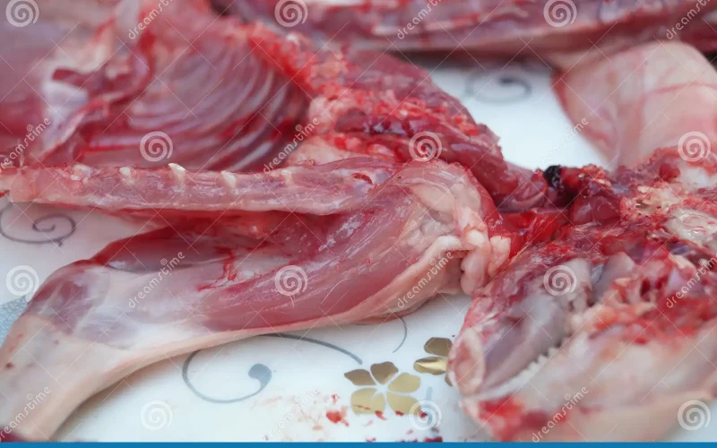 Types of Rabbit Meat Cuts