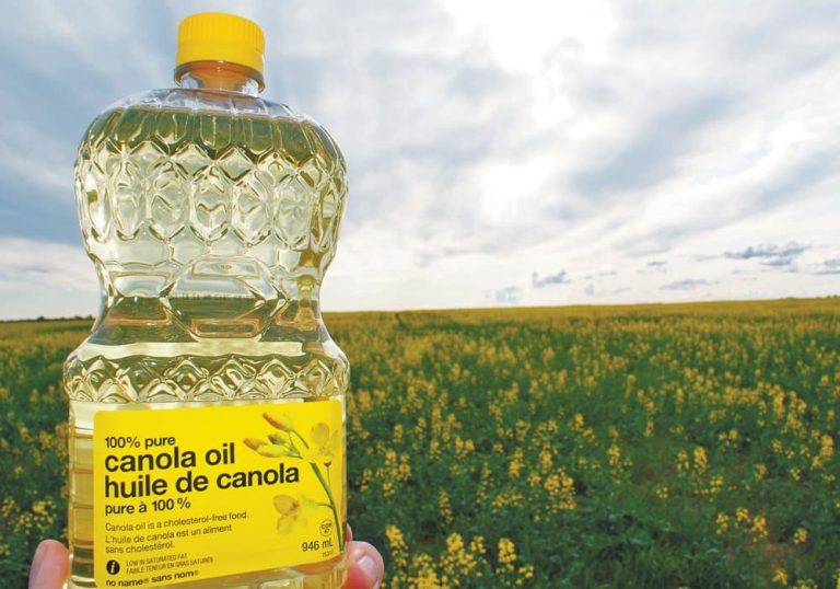 Canola Oil - Best Substitutes for Oil in Baking