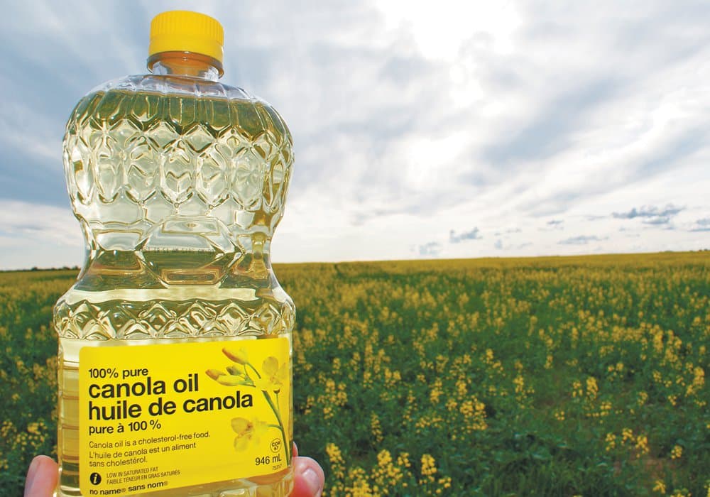 Canola Oil