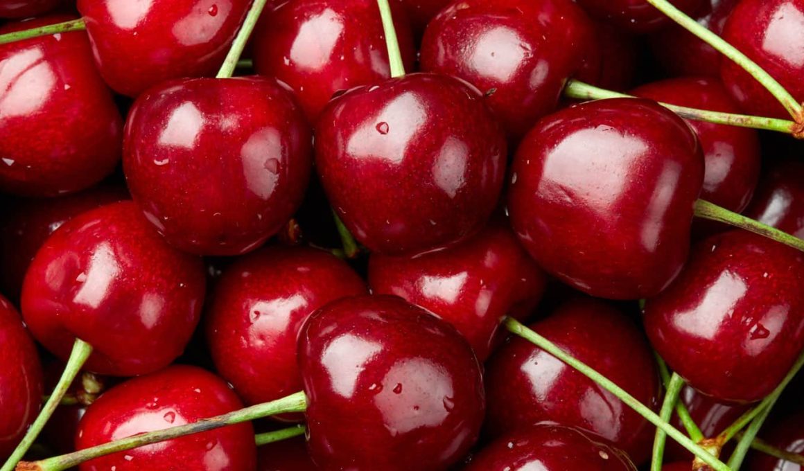 Types of Cherries for Baking