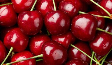 Types of Cherries for Baking