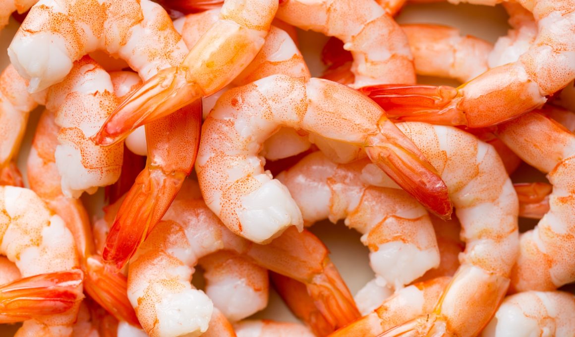 Different Types of Prawns