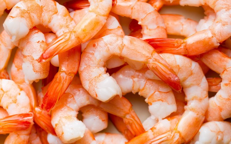 Different Types of Prawns