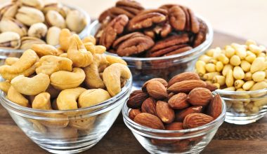 Types of Edible Nuts