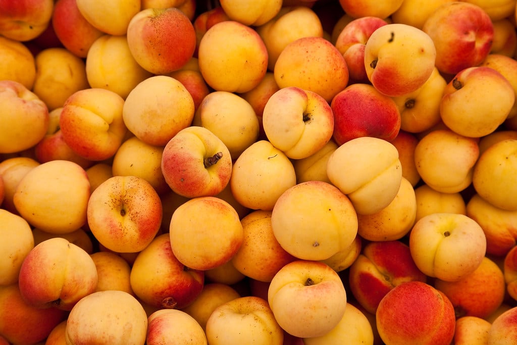 Apricots - Fruits That Contain Protein