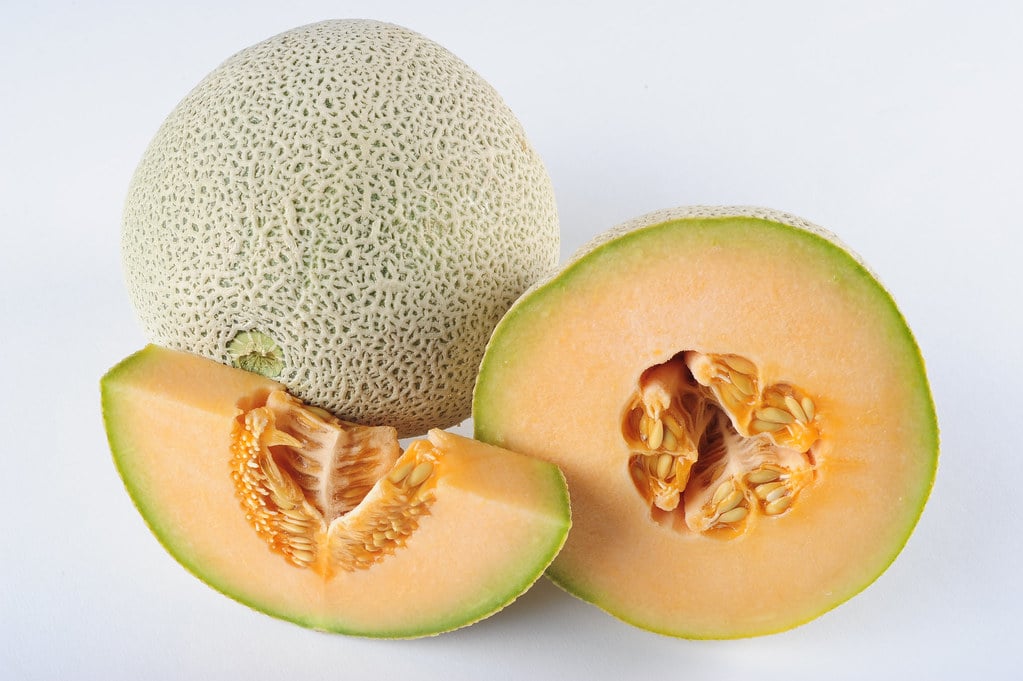 Cantaloupe