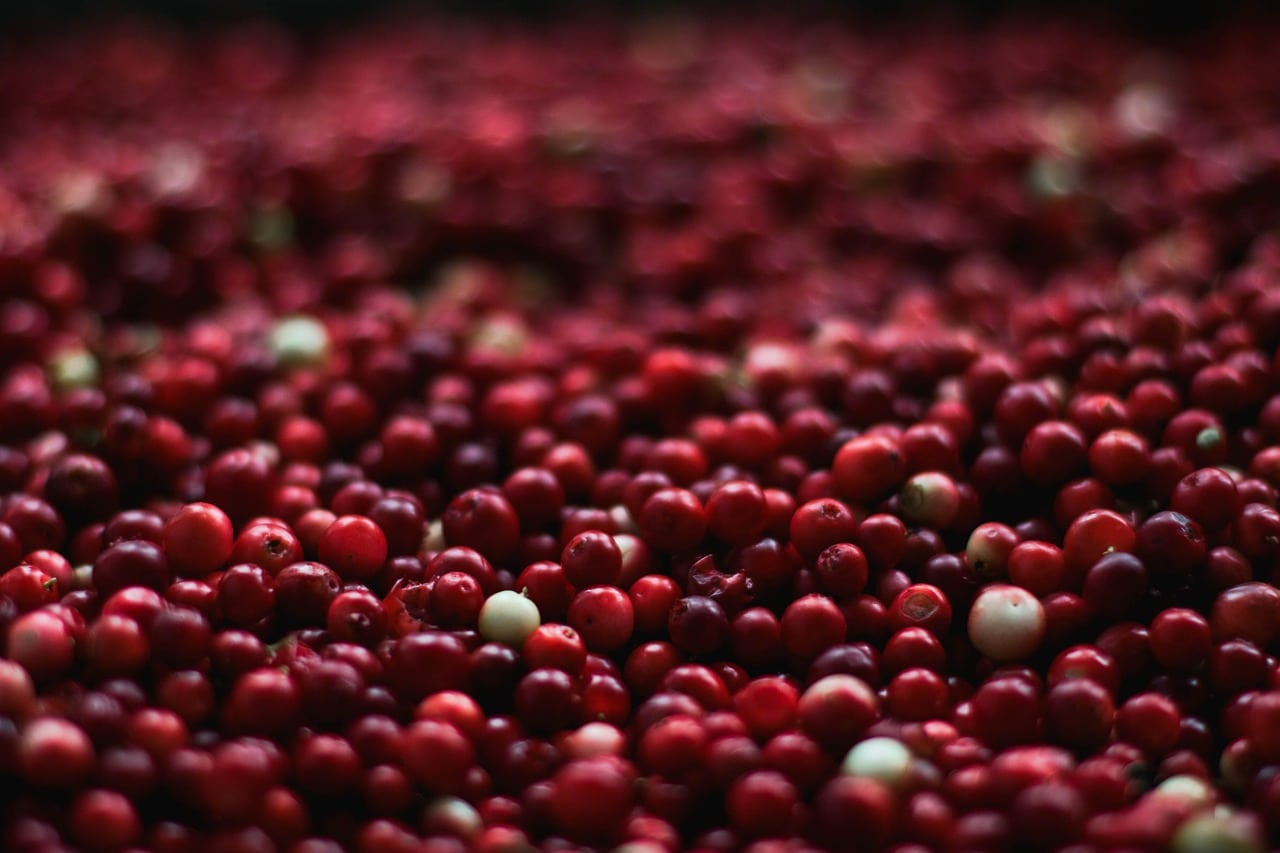 Cranberry - Fruits That Contain Vitamin E